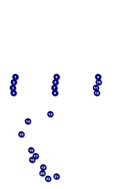 Triathlon Flyer Front Field Markers