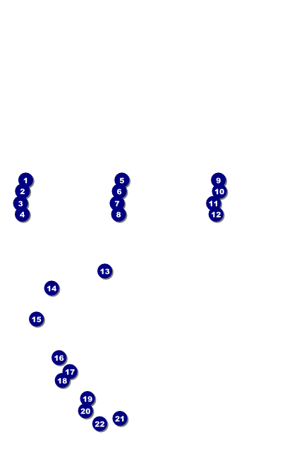 Triathlon Poster Front Field Markers