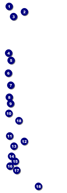 Blue Flower Event Ticket Front Field Markers
