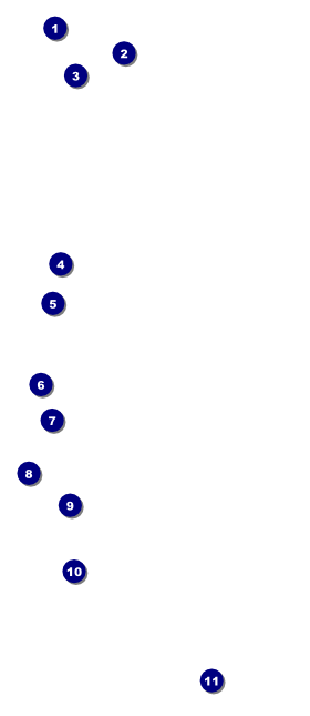 Blue Flower VIP Pass Front Field Markers