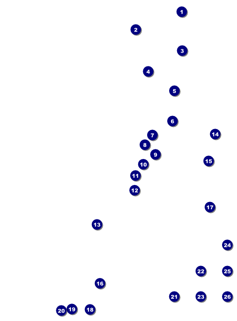 Red and Silver Logo Flyer Front Field Markers