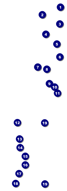 Red and Silver Raffle Ticket Front Field Markers