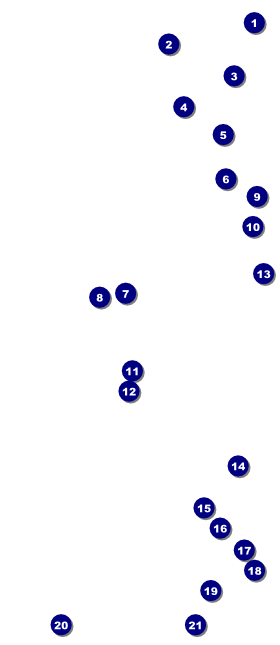 Red and Silver VIP Pass Front Field Markers