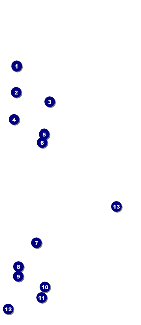 Pig Roast VIP Pass Front Field Markers
