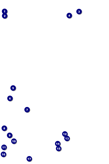 Medieval Banquet Poster Front Field Markers