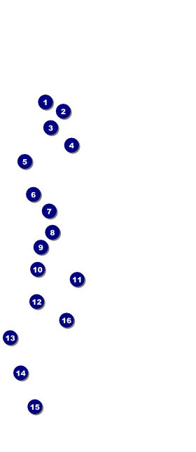 Milk & Cookies VIP Pass Front Field Markers