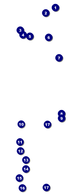 Paradise Raffle Ticket Front Field Markers