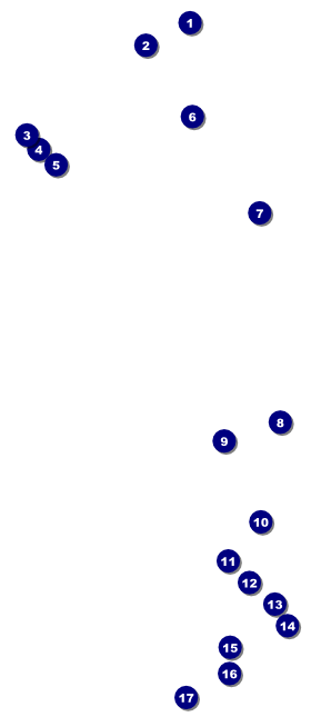 Paradise VIP Pass Front Field Markers