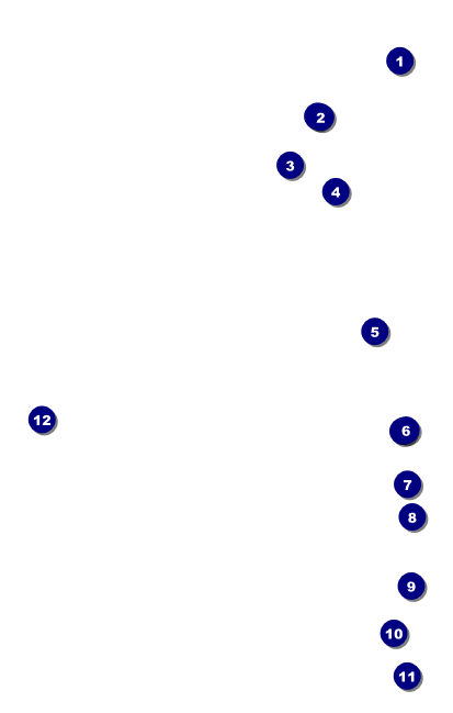 Carnival VIP Event Badge Medium Front Field Markers