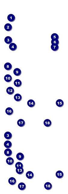 All Purpose Hex Reserved Event Ticket Front Field Markers