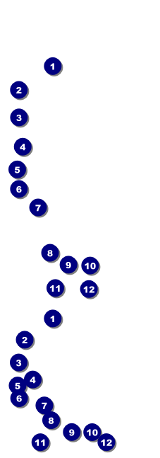 All Purpose Lights Reserved Event Ticket Front Field Markers