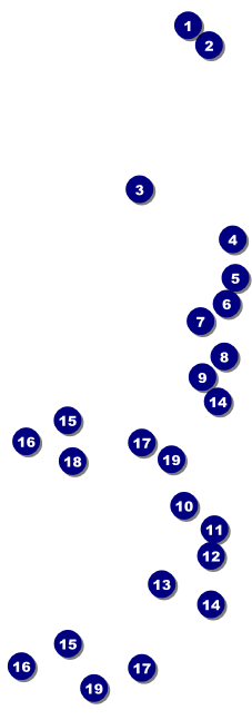 Bow Tie Reserved Event Ticket Front Field Markers