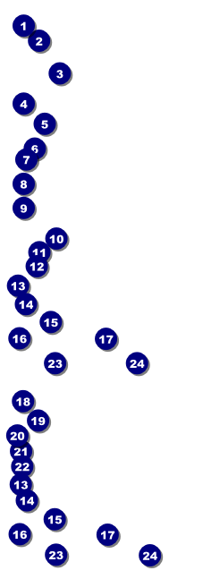 White Ribbon Reserved Event Ticket Front Field Markers