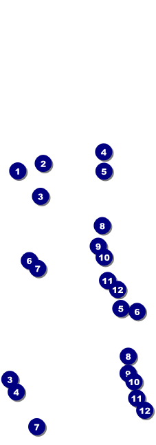 Dinosaur Reserved Event Ticket Front Field Markers
