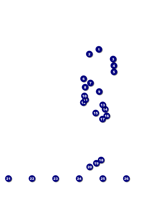 South Carolina Flyer Front Field Markers