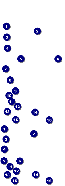 Birthday Whimsical Reserved Event Ticket Front Field Markers