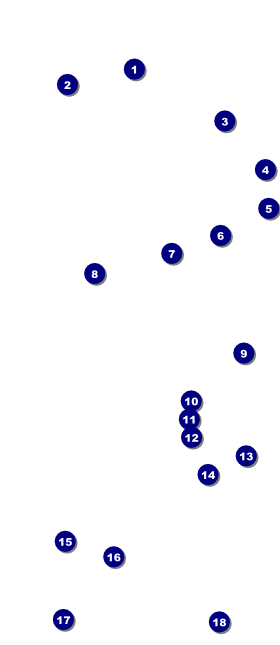 All Purpose Triangles Black and White VIP Pass Front Field Markers