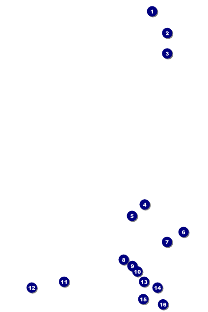 Curling Tournament Poster Front Field Markers