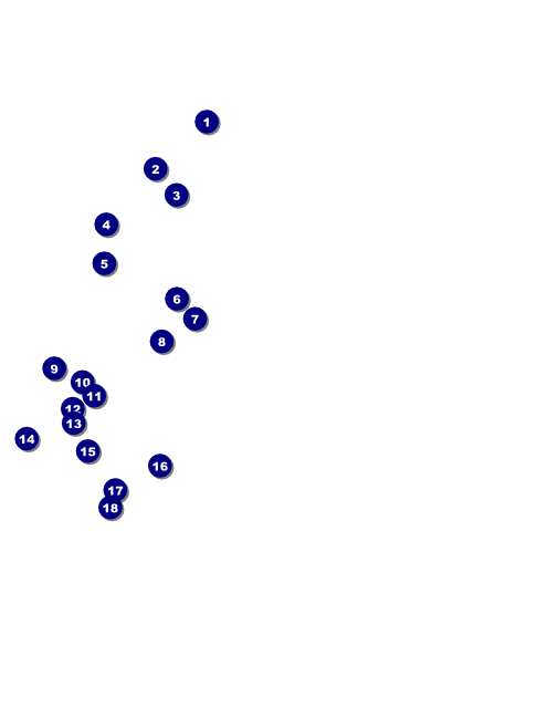 Year Gala Plaid Green Flyer Front Field Markers