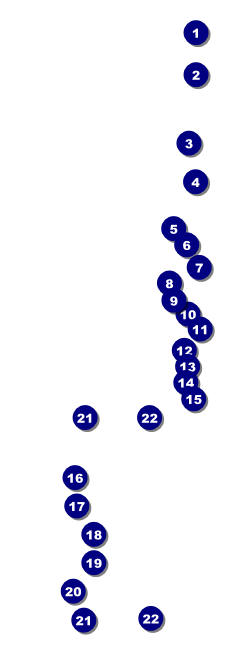Black Friday Raffle Ticket Front Field Markers