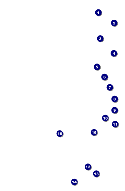 Silver Glitter Drink Ticket Front Field Markers