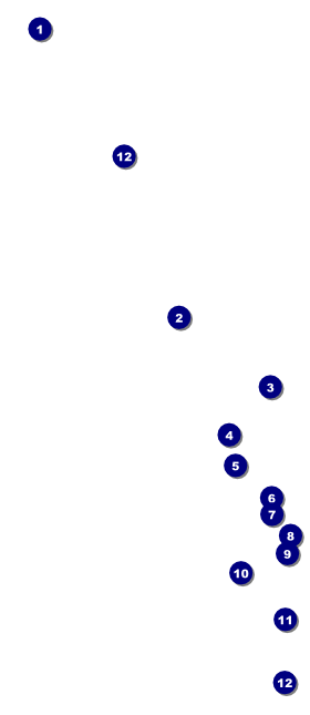 Royal Hang Tag Front Field Markers