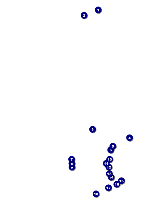 Cherry Blossom Circle Flyer Front Field Markers