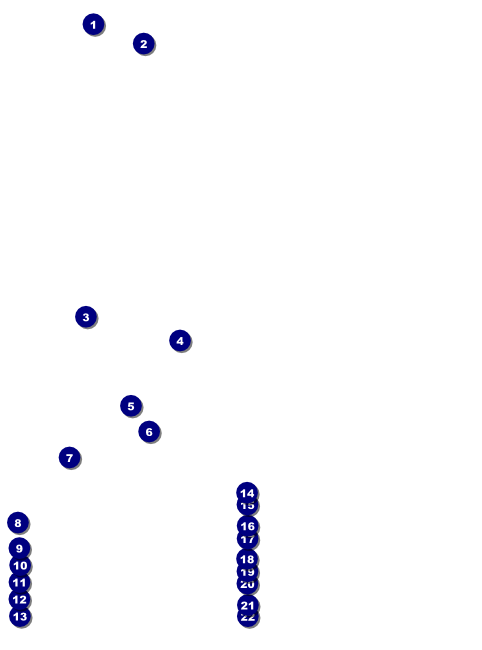 Renaissance Faire Armor Flyer Front Field Markers