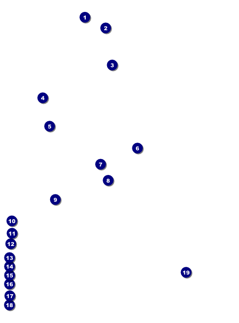 Soccer Field Flyer Front Field Markers
