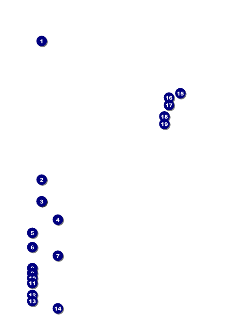 Philadelphia Rose Flyer Front Field Markers