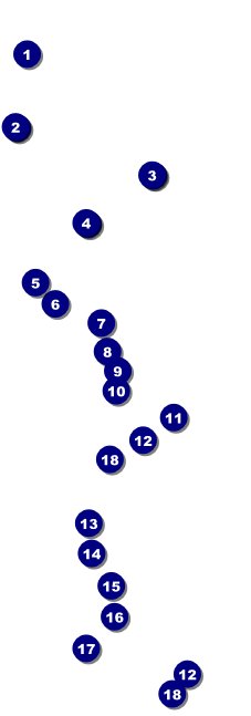 Stag and Doe Raffle Ticket Front Field Markers