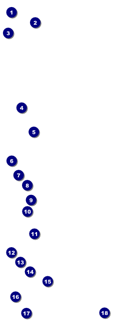 Softball Challenge VIP Pass Front Field Markers