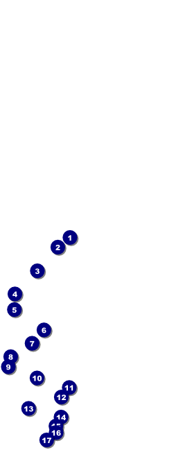 Camouflage Green White Yellow Table Tent Front Field Markers