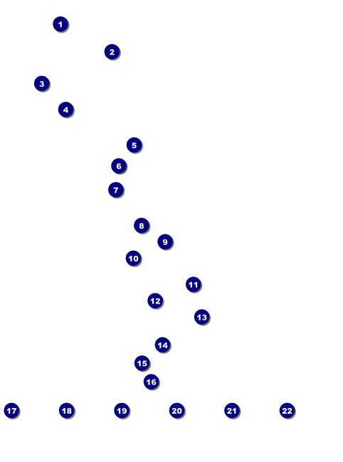 Cool Christmas Flyer Front Field Markers
