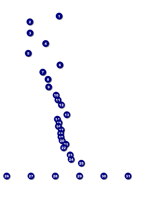 St Patrick's Day Colored Flyer Front Field Markers