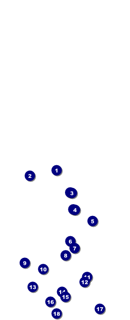 Disco Table Tent Front Field Markers