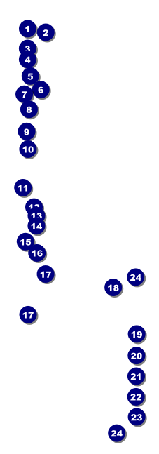 Military Ball - The Salute Raffle Ticket Front Field Markers