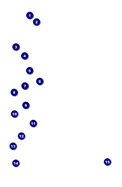 Military Ball - US Flags Drink Ticket Front Field Markers