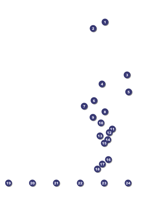 Sydney Flyer (Blue) Front Field Markers