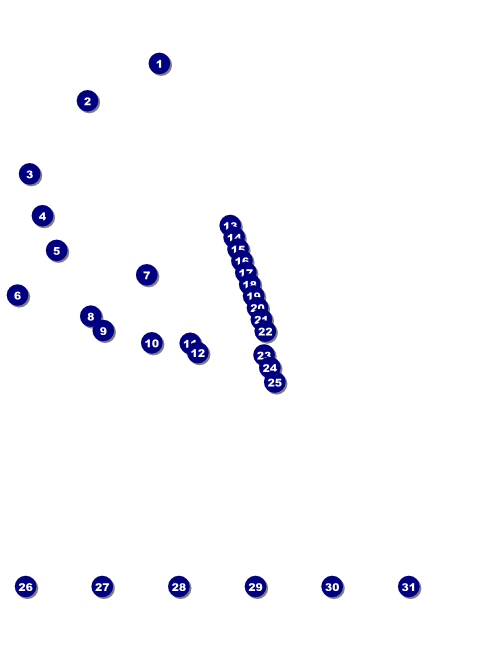 Rock Concert Green Flyer Front Field Markers