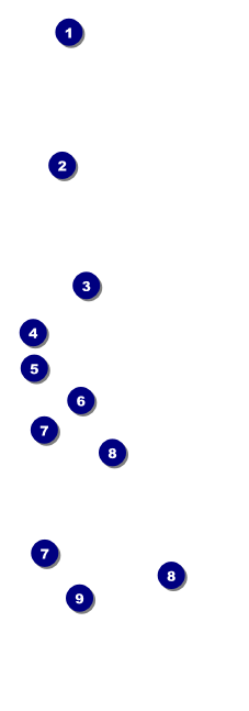 Mexican Fiest QR Event Ticket Front Field Markers