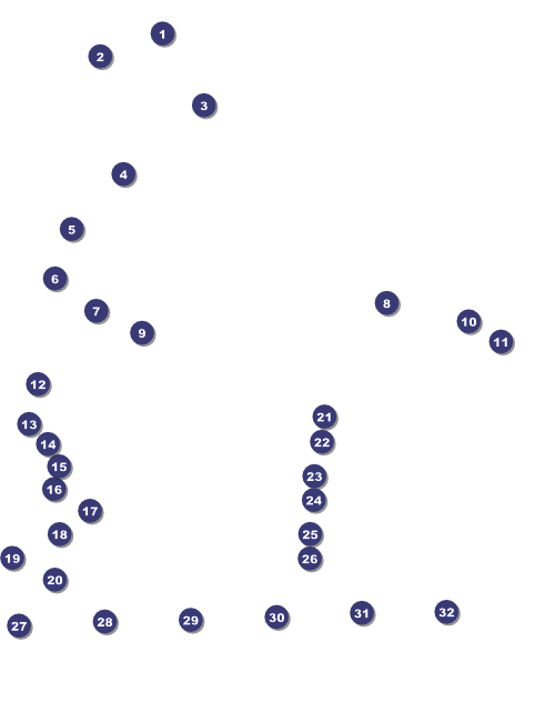 MMA Main Event Brown Logo Flyer Front Field Markers