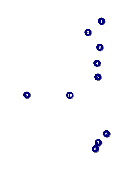 Acoustic Strings VIP Event Badge Medium Front Field Markers