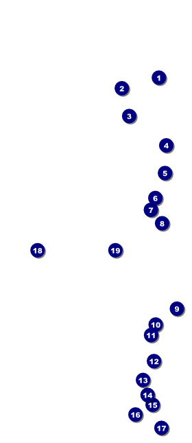 All Purpose Angle VIP Event Badge Large Front Field Markers