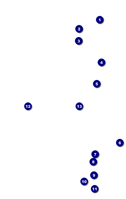 All Purpose Horizon VIP Event Badge Medium Front Field Markers
