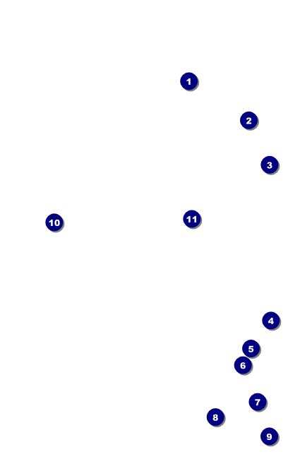 All Purpose Lights VIP Event Badge Small Front Field Markers