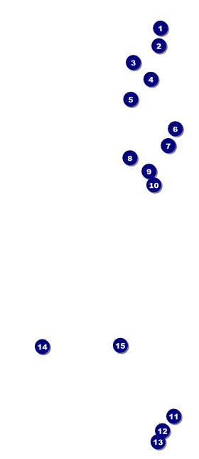 All-Star Retro Baseball VIP Event Badge Large Front Field Markers