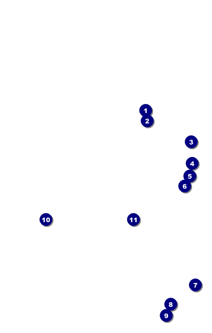 Black Tie VIP Event Badge Medium Front Field Markers