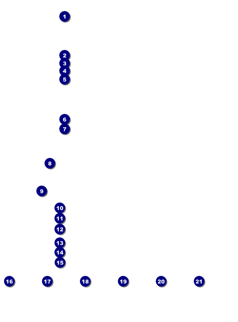 Rochester Logo Flyer Front Field Markers