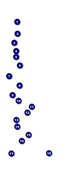 Graduation - Green VIP Event Badge Large VIP Event Badge Large Front Field Markers